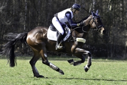 luhmuehlen-cci2-maerz-2019-408