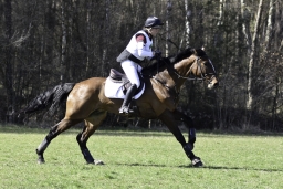 luhmuehlen-cci2-maerz-2019-411