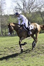 luhmuehlen-cci2-maerz-2019-419