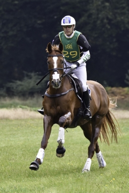 luhmuehlen-CCI4S-dm-2020-171-andrew-hoy