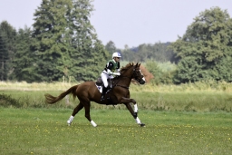 luhmuehlen-CCI4S-dm-2020-173-andrew-hoy