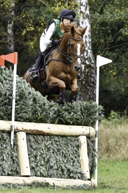 luhmuehlen-CCI4S-dm-2020-184-sandra-auffarth