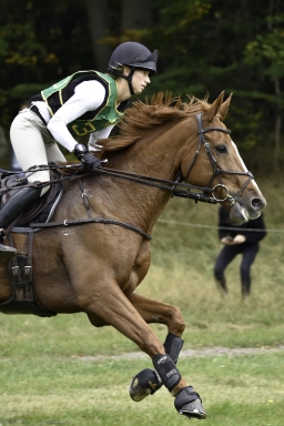 luhmuehlen-CCI4S-dm-2020-186-sandra-auffarth