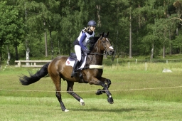 luhmuehlen-06-2020-cci3s-010-jpg