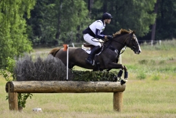 luhmuehlen-06-2020-cci3s-012-jpg