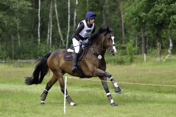 luhmuehlen-06-2020-cci3s-016-jpg