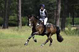 luhmuehlen-06-2020-cci3s-018-jpg