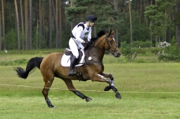 luhmuehlen-06-2020-cci3s-033-jpg