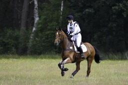 luhmuehlen-06-2020-cci3s-034-jpg