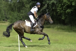 luhmuehlen-06-2020-cci3s-056-jpg