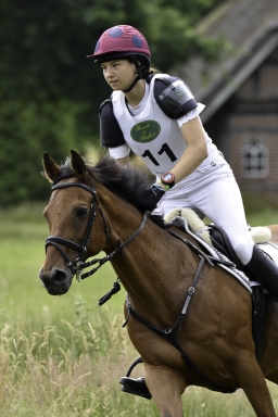 luhmuehlen-06-2020-cci3s-085-jpg