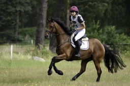 luhmuehlen-06-2020-cci3s-089-jpg