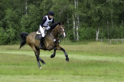 luhmuehlen-06-2020-cci3s-096-jpg