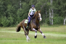 luhmuehlen-06-2020-cci3s-108-jpg
