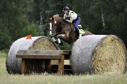 luhmuehlen-06-2020-cci3s-111-jpg