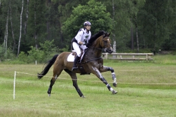 luhmuehlen-06-2020-cci3s-125-jpg
