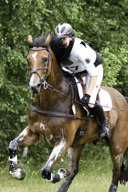 luhmuehlen-06-2020-cci3s-129-jpg