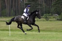 luhmuehlen-06-2020-cci3s-135-jpg