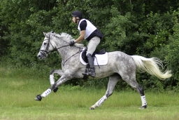 luhmuehlen-06-2020-cci3s-147-jpg