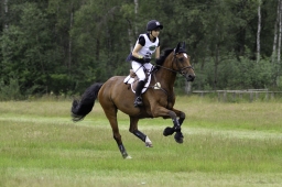 luhmuehlen-06-2020-cci3s-155-jpg