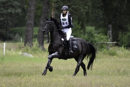 luhmuehlen-06-2020-cci3s-171-jpg