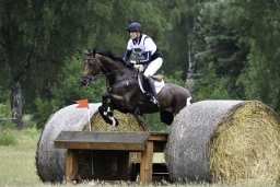 luhmuehlen-06-2020-cci3s-227-jpg