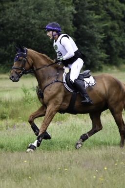 luhmuehlen-06-2020-cci3s-235-jpg