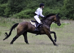 luhmuehlen-06-2020-cci3s-241-jpg