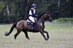 luhmuehlen-06-2020-cci3s-249-jpg