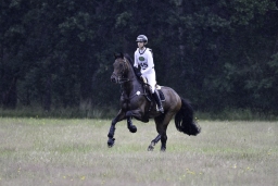 luhmuehlen-06-2020-cci3s-289-jpg