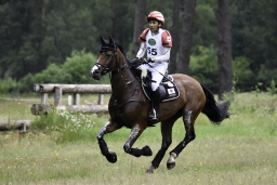 luhmuehlen-06-2020-cci3s-350-jpg