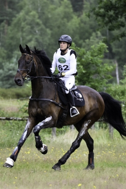 luhmuehlen-06-2020-cci3s-391-jpg