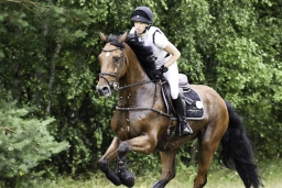 luhmuehlen-06-2020-cci3s-405-jpg
