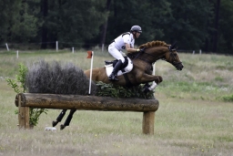 luhmuehlen-06-2020-cci3s-406-jpg