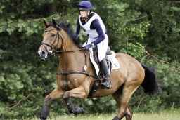 luhmuehlen-06-2020-cci3s-418