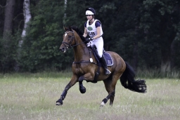 luhmuehlen-06-2020-cci3s-420
