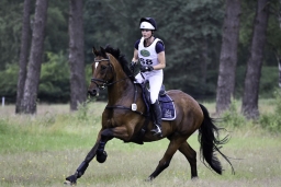 luhmuehlen-06-2020-cci3s-422