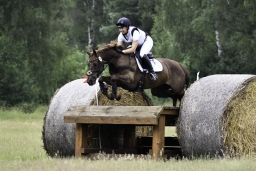 luhmuehlen-06-2020-cci3s-433