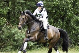 luhmuehlen-06-2020-cci3s-440