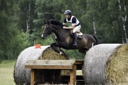 luhmuehlen-06-2020-cci3s-451
