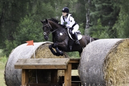 luhmuehlen-06-2020-cci3s-461