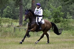 luhmuehlen-06-2020-cci3s-469