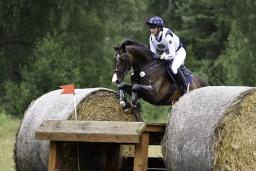 luhmuehlen-06-2020-cci3s-485