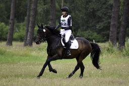 luhmuehlen-06-2020-cci3s-501