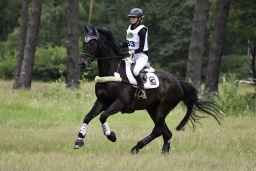 luhmuehlen-06-2020-cci3s-509