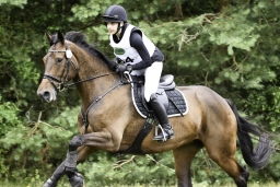 luhmuehlen-06-2020-cci3s-520