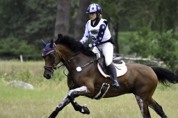 luhmuehlen-06-2020-cci3s-528