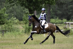 luhmuehlen-06-2020-cci3s-529