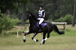 luhmuehlen-06-2020-cci3s-561