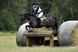 luhmuehlen-06-2020-cci3s-570